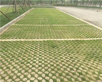遂寧高承載生態(tài)植草地坪