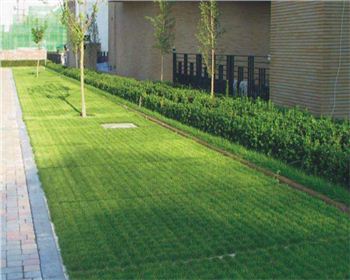 遂寧植草混凝土