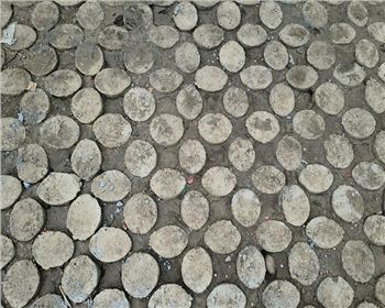 四川現(xiàn)澆植草混凝土