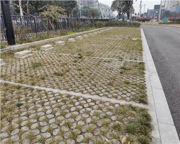 四川生態(tài)植草混凝土